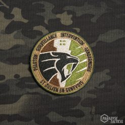 patch brodé psig sjg 2020