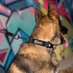 Collier K9OPERATOR Noir