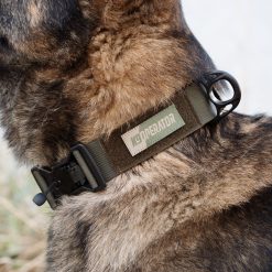 Collier K9OPERATOR Vert